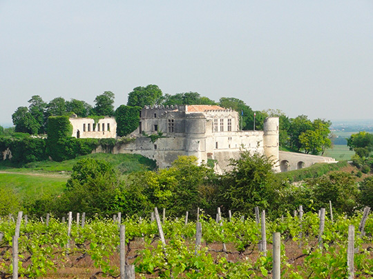 Notre maison d'hôtes est située dans le village de Bouteville, en Charente
